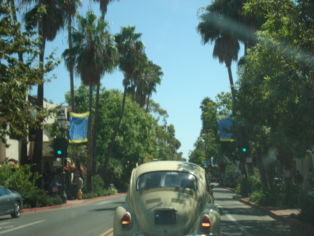 gal/2007 California/picture_184.jpg